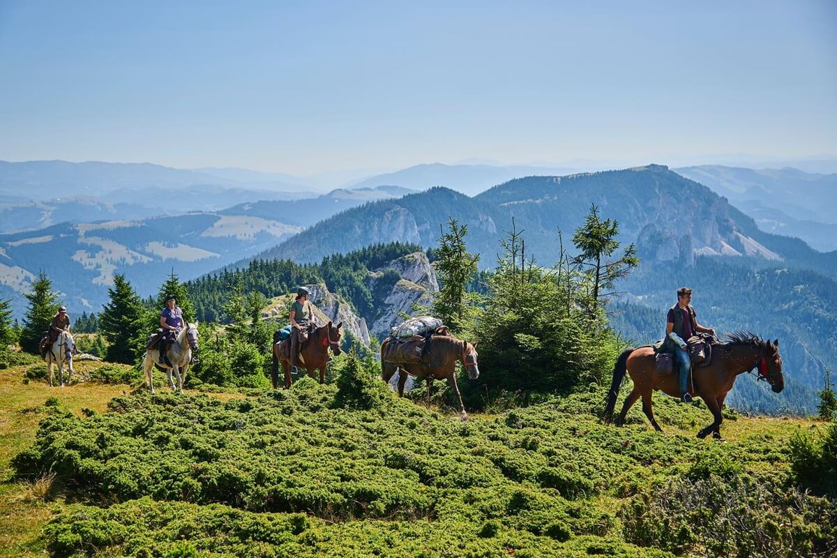 Carpathian Mountains Horseback Riding