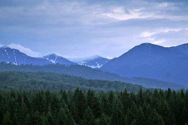 Carpathian Mountains - image by Amanda Lia Rogers