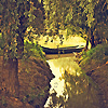 Amanda Lia Rogers - Danube Delta