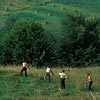 BUCOVINA - NORTHERN ROMANIA Image