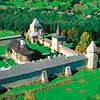 Sucevita Painted Monastery Image