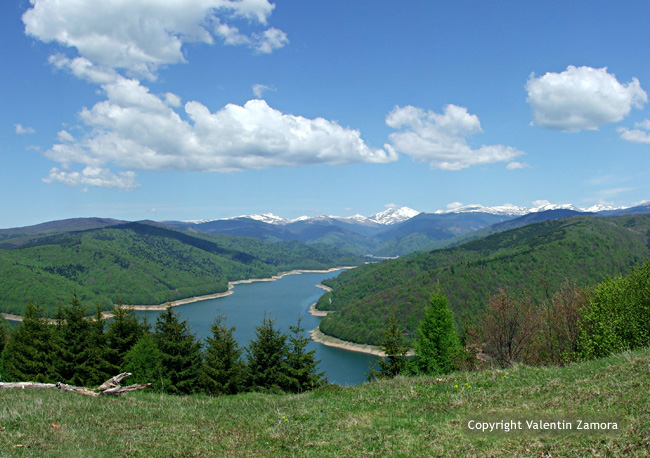 Carpathian Mountains - Vidraru Lake 