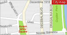 Arad - City Map (Harta orasului Arad)