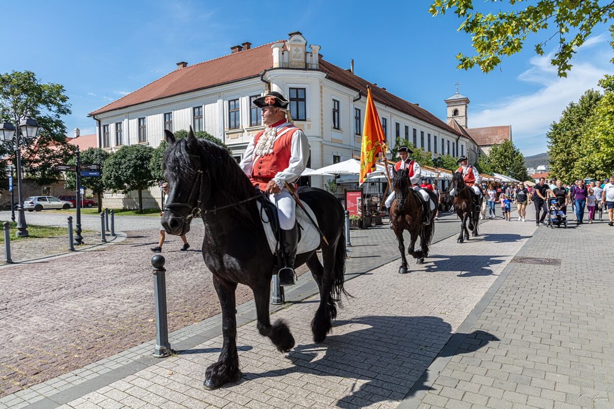 alba-iulia-transylvania-fotress-changing-the-guard