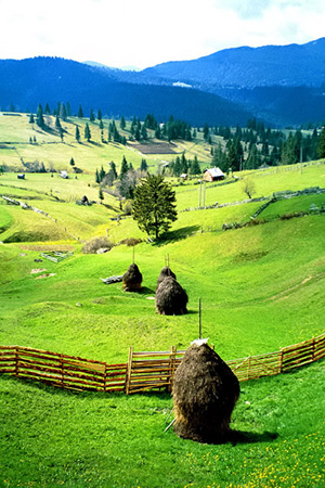 Haystacks along Transylvania's Borgo Pass