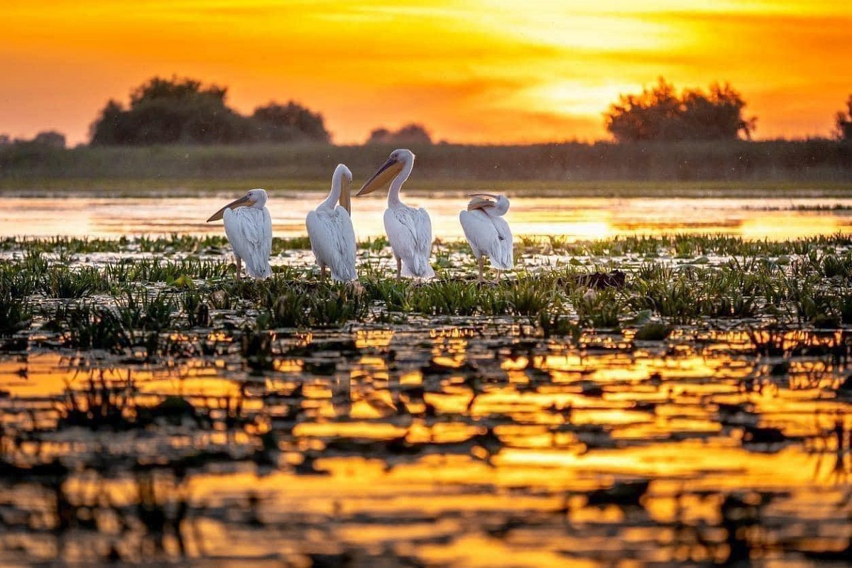 Danube Delta Eastern Romania