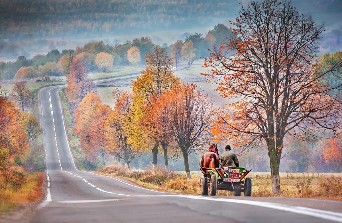 Horse Drawn Wagon on Romania Country Road