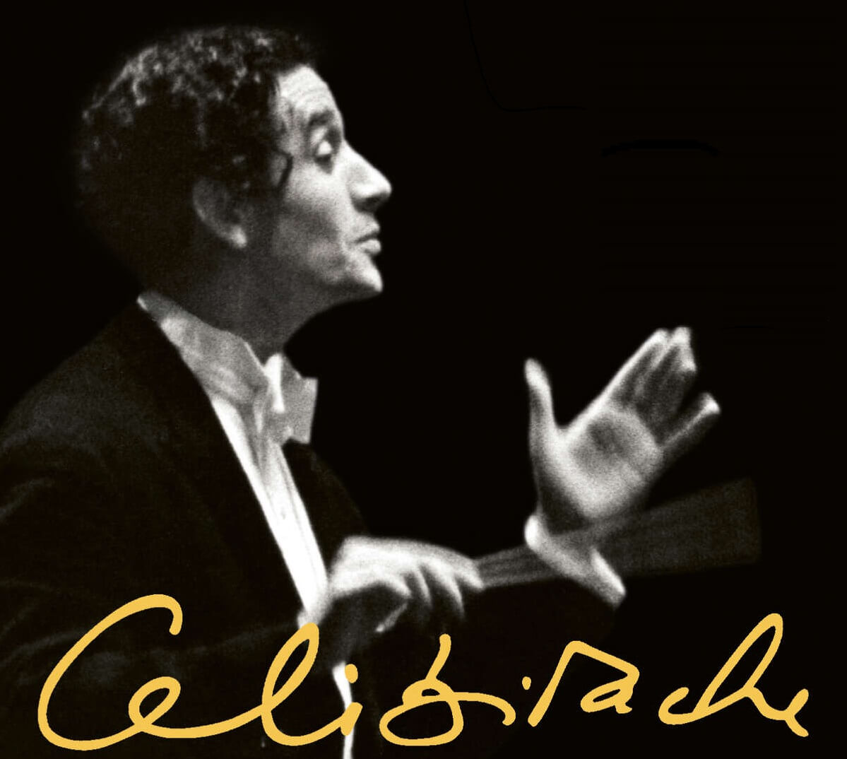 sergiu_celibidache_the_berlin_recordings