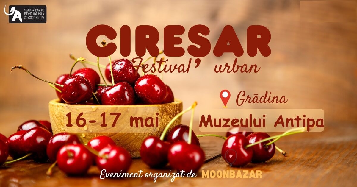 bucharest-urban-festival-2026