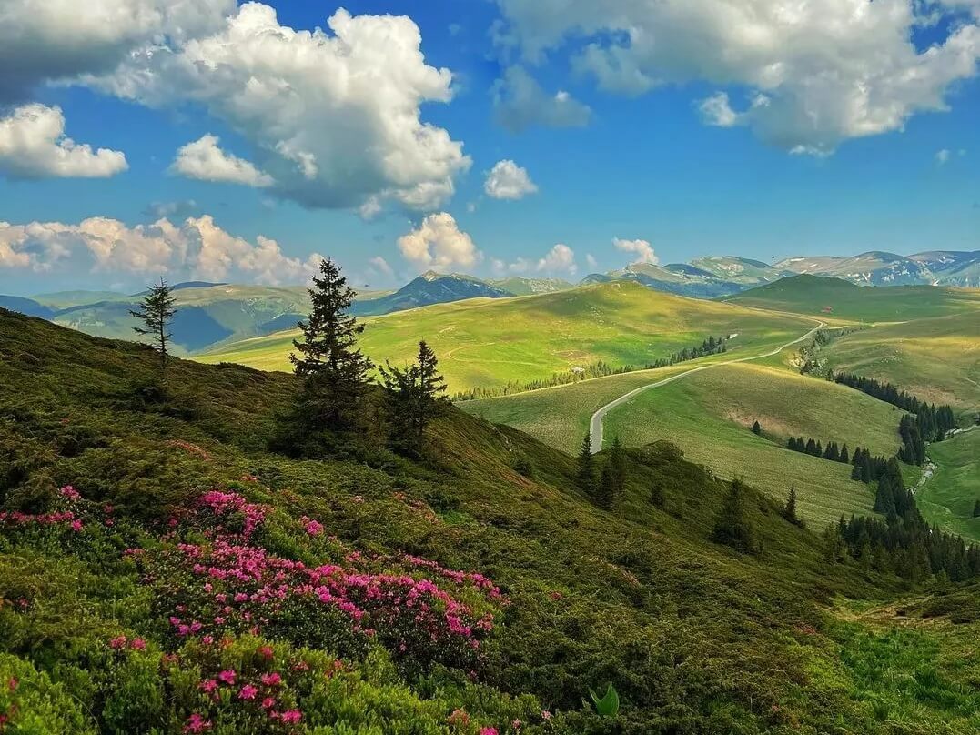 transalpina-scenic-road-romania-sebes-to-novaci