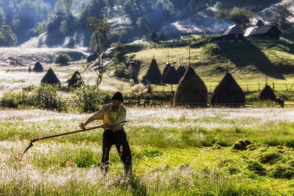 traditional farming romania