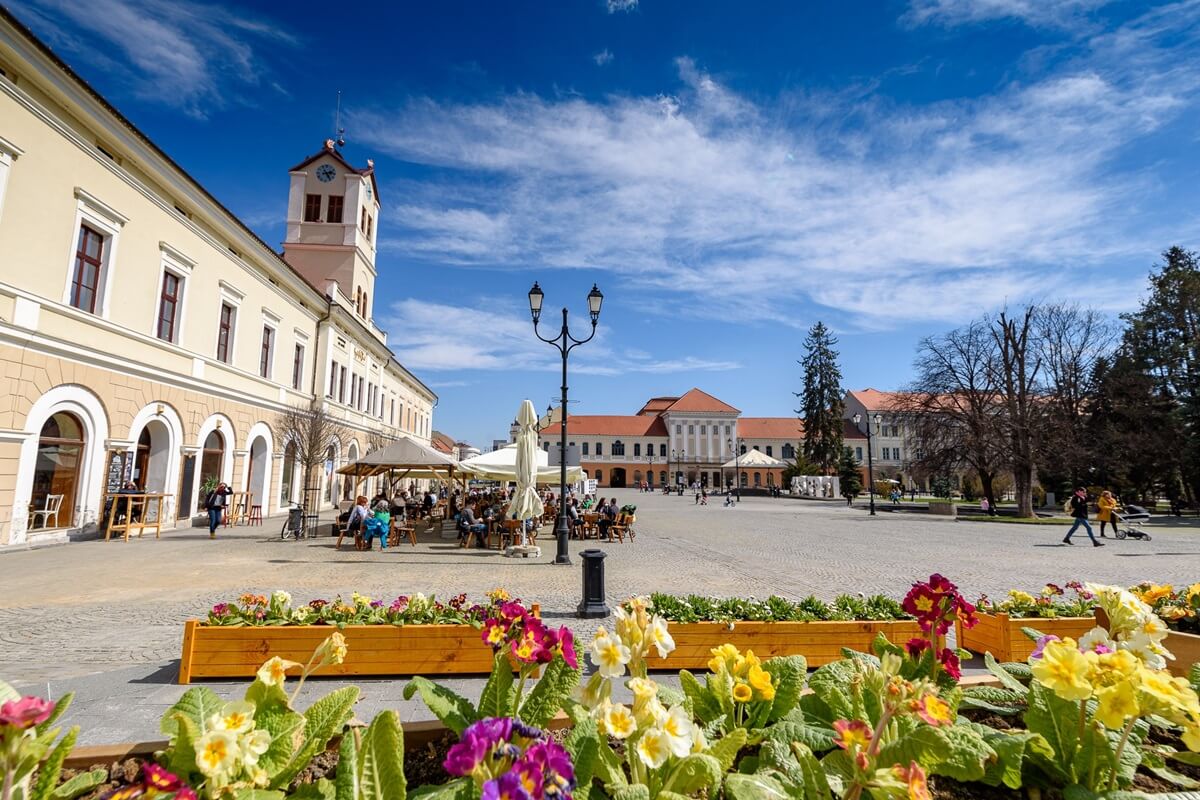sfantu gheorghe main square
